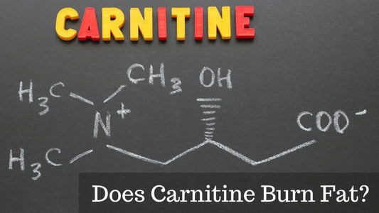 Does Carnitine Burn Fat?