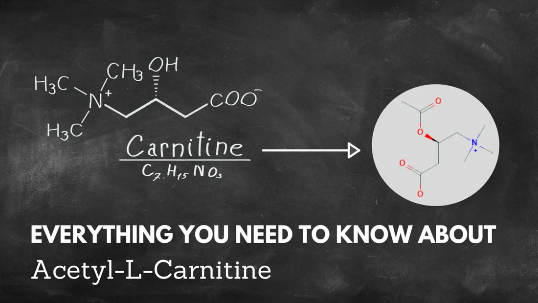 Everything You Need to Know About Acetyl-L-Carnitine