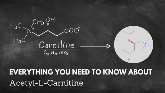 Everything You Need to Know About Acetyl-L-Carnitine