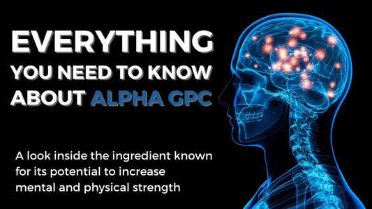 Everything You need to Know About Alpha GPC