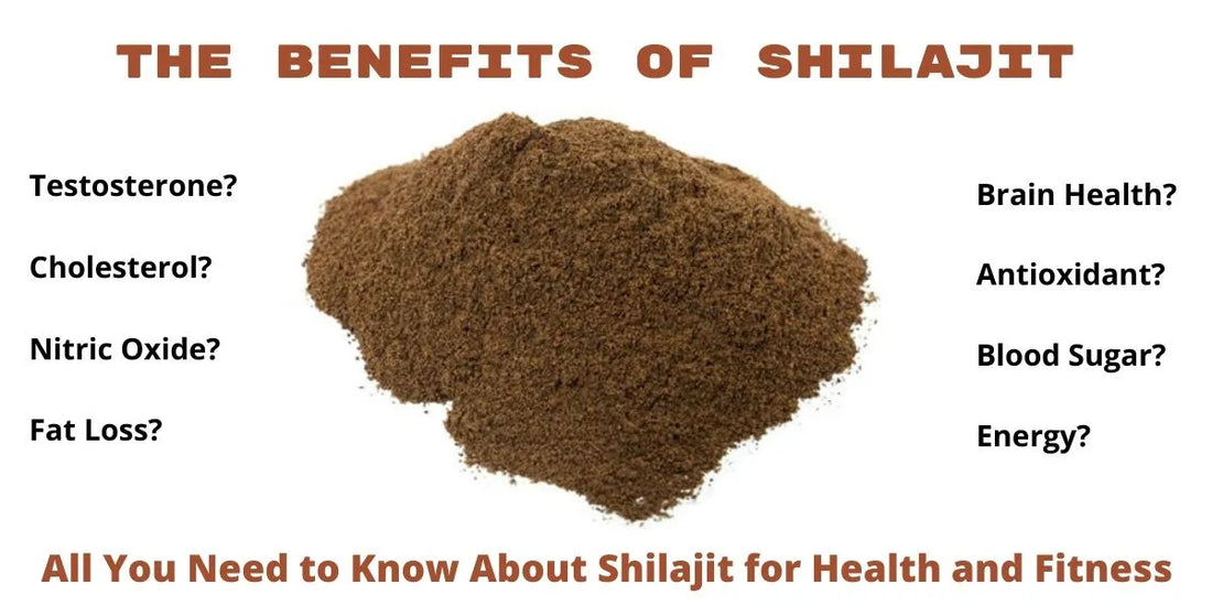 The Benefits of Shilajit [Complete List]